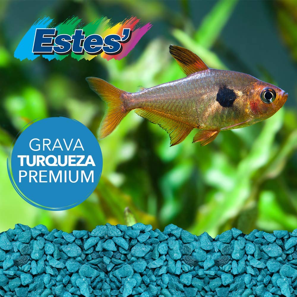 Spectrastone grava turquesa para acuario, ambiente vibrante y seguro para peces