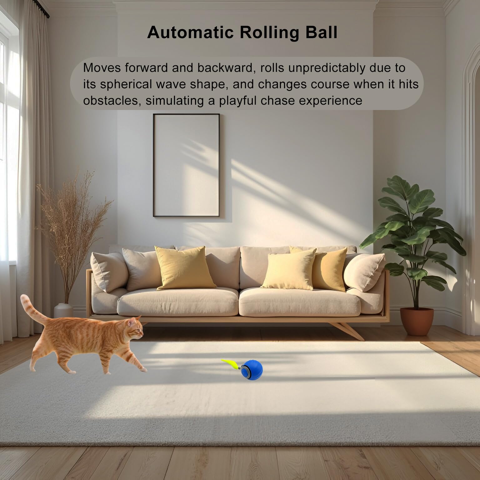 Speedy Ball 2.0, rodaje automático para activar el juego del gato