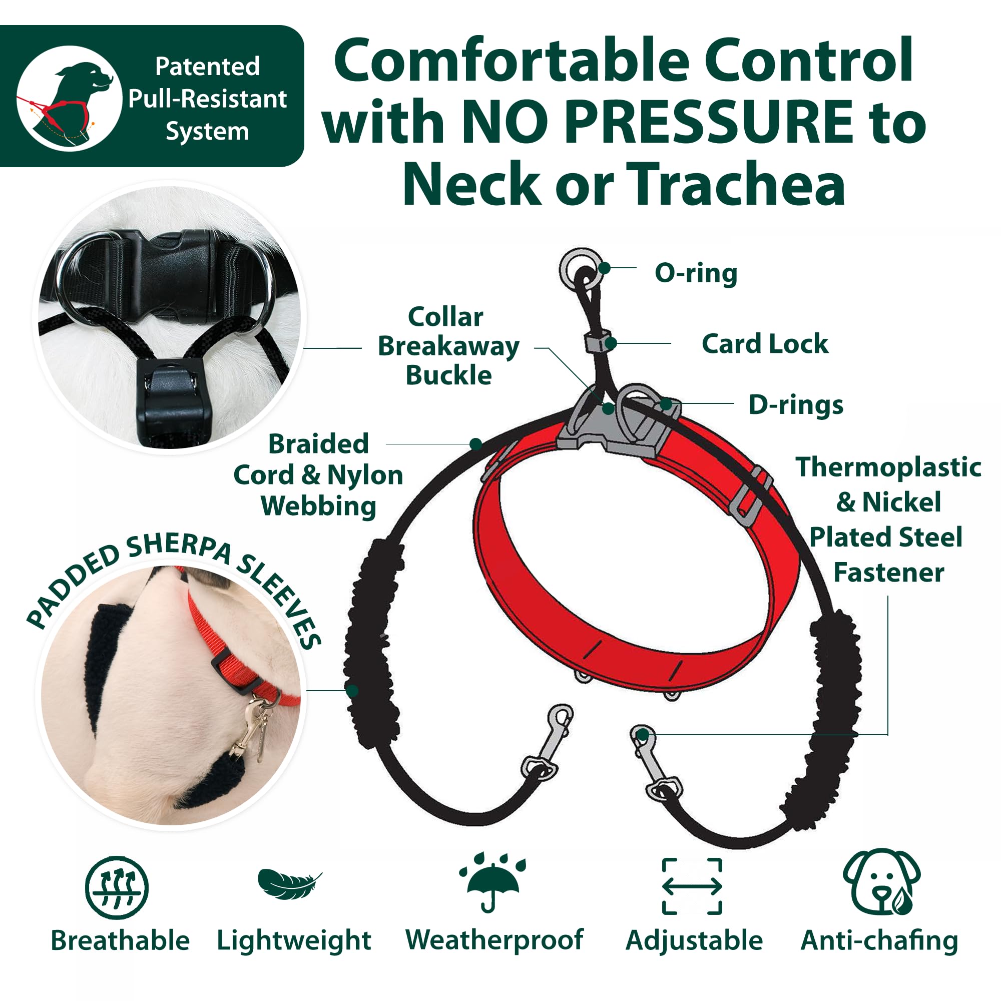 Ideal para paseos diarios con perros grandes y activos.