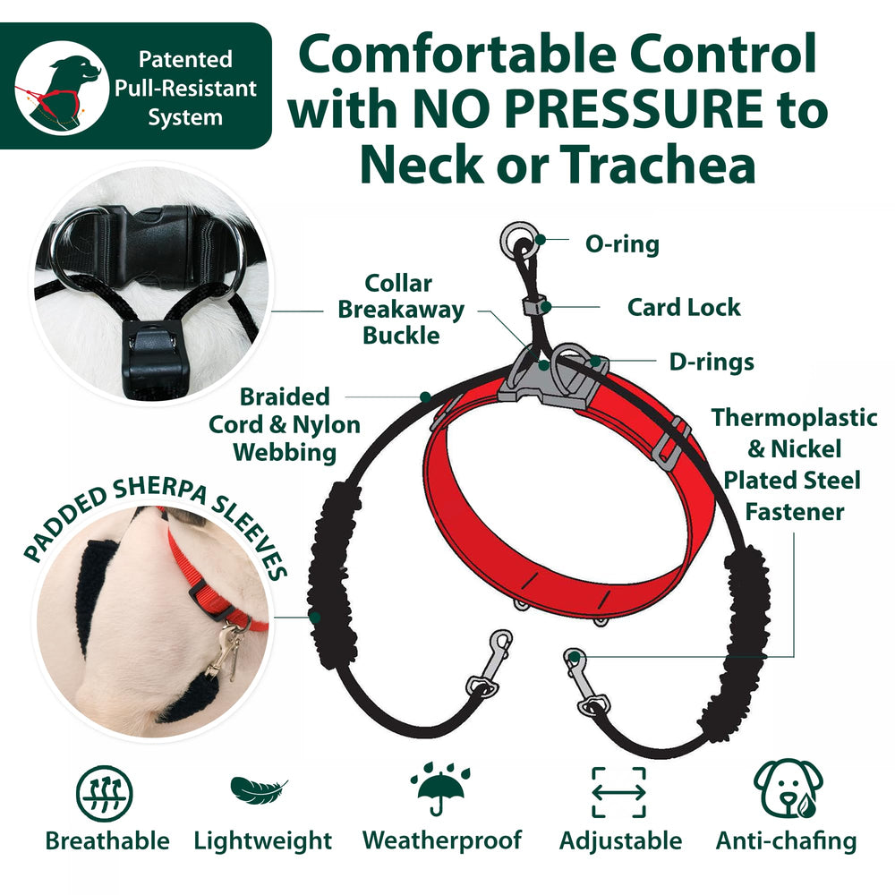 Ideal para paseos diarios con perros grandes y activos.