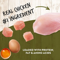 Ingredientes de K95 Pollo muestran vegetales y frutas beneficiosas.