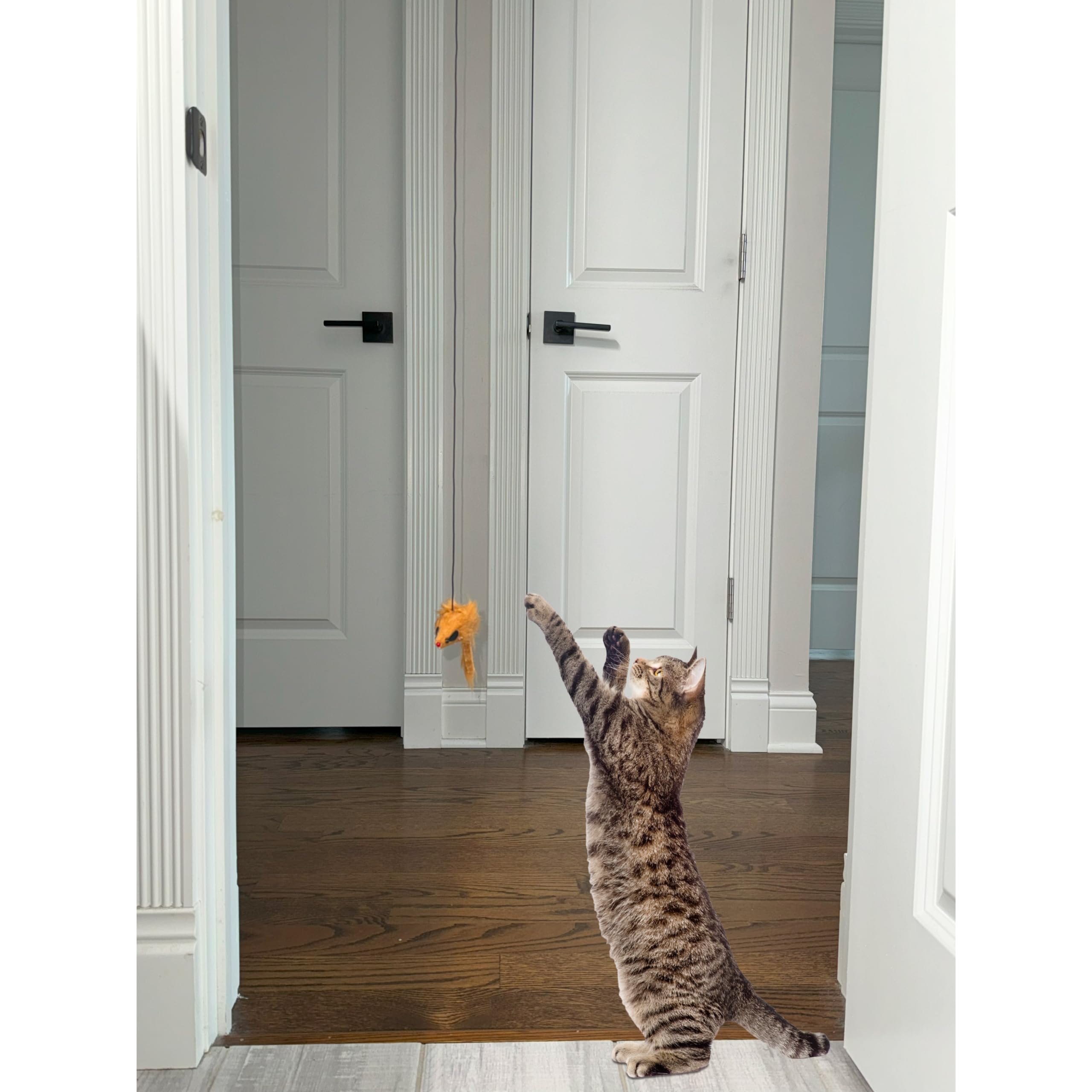 SPOT A-Door-Able clips de seguridad se desprenden para juego seguro