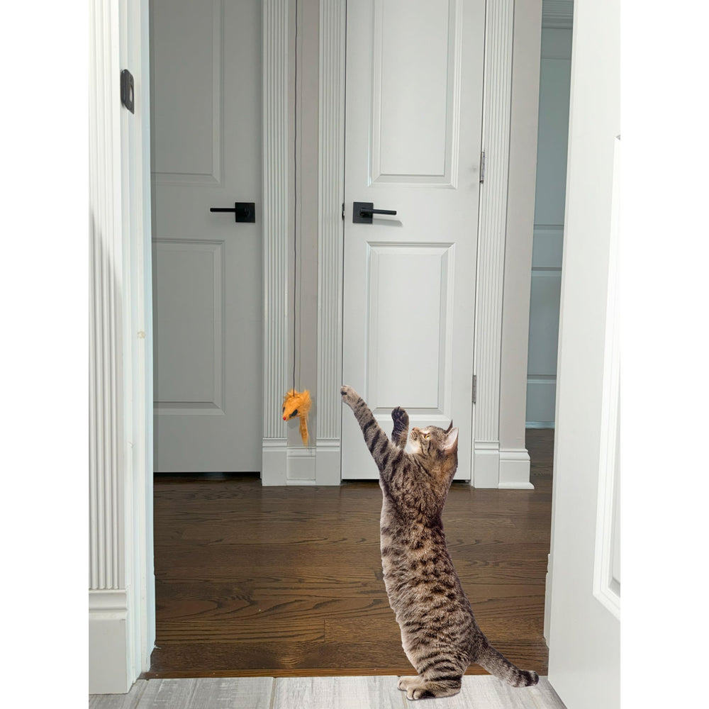 SPOT A-Door-Able clips de seguridad se desprenden para juego seguro