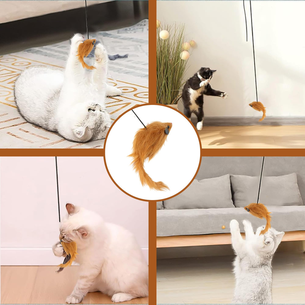 SPOT A-Door-Able entretenimiento continuo para gatos activos