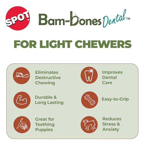 SPOT Bam-Bones, centro de masaje para una experiencia suave en cada mordida.