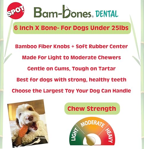 SPOT Bam-Bones centro masajante de goma para higiene dental