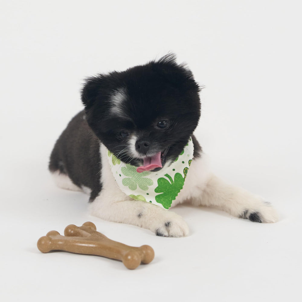 SPOT Bam-Bones adecuado para perros menores de 30 libras