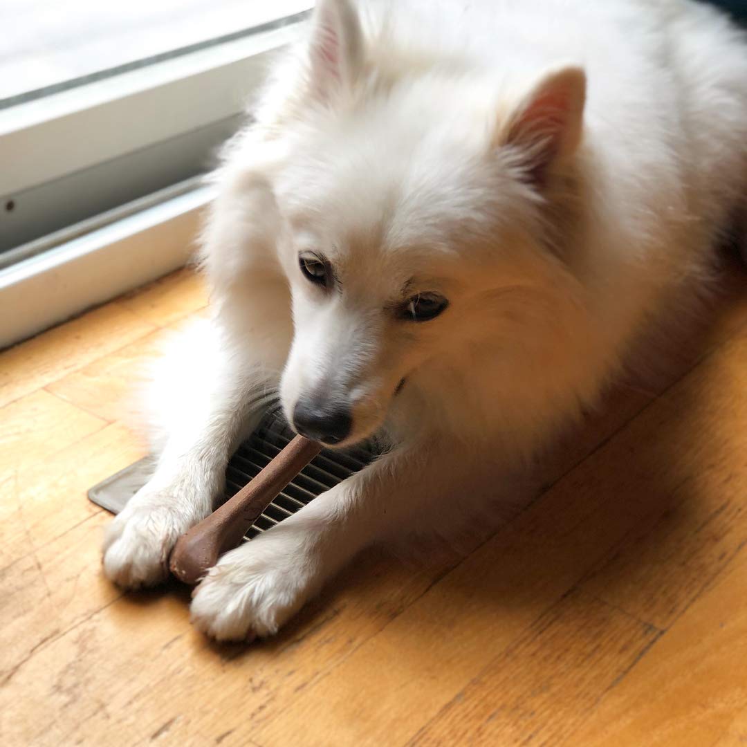 SPOT Bam-Bones apto para perros pequeños y cachorros