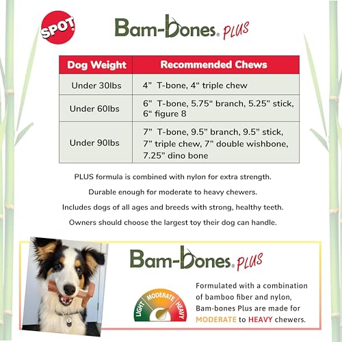 SPOT Bam-Bones Plus: diseño triple con agarre cómodo para perros activos.