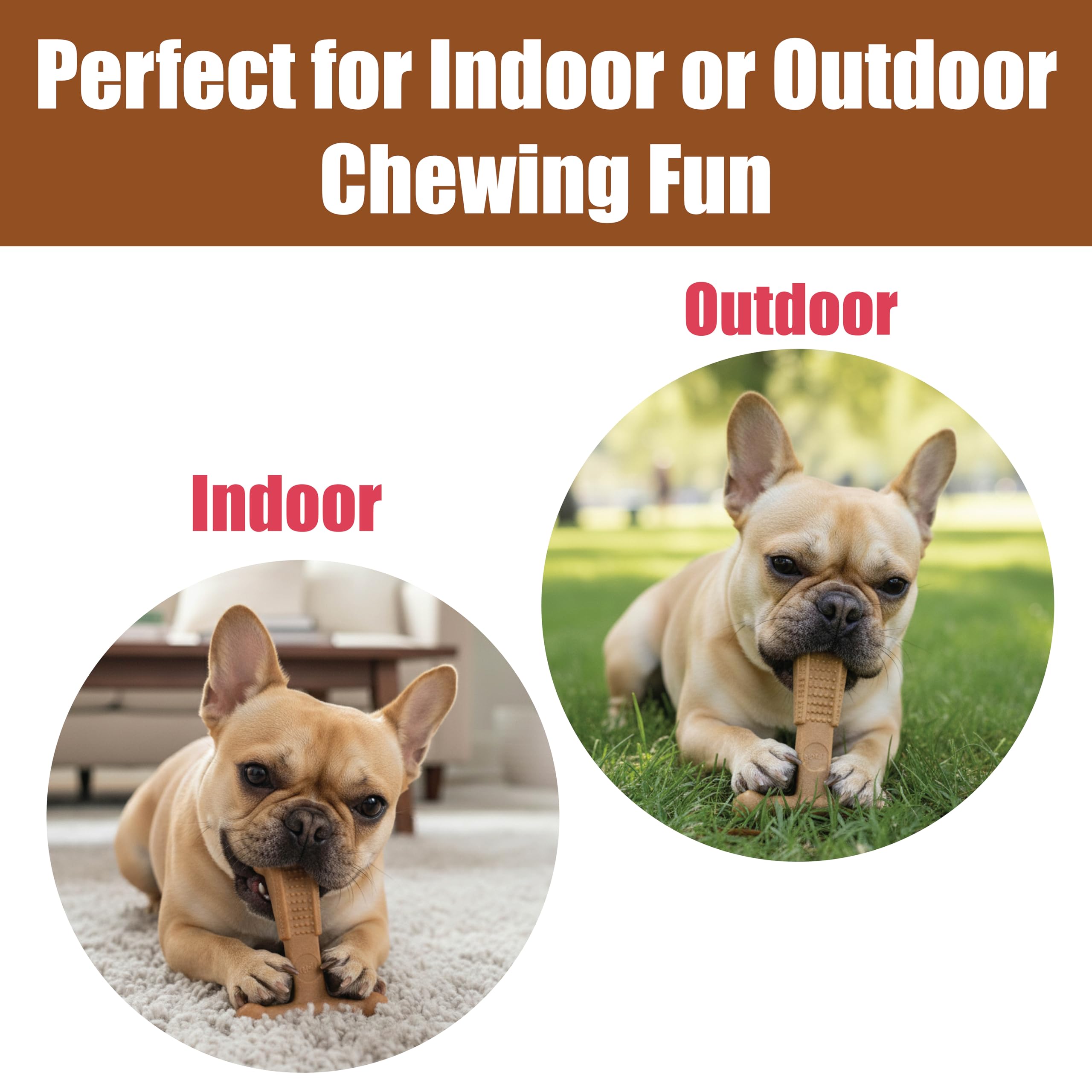 SPOT Bam-Bones Plus T-Bone ideal para cachorros en dentición