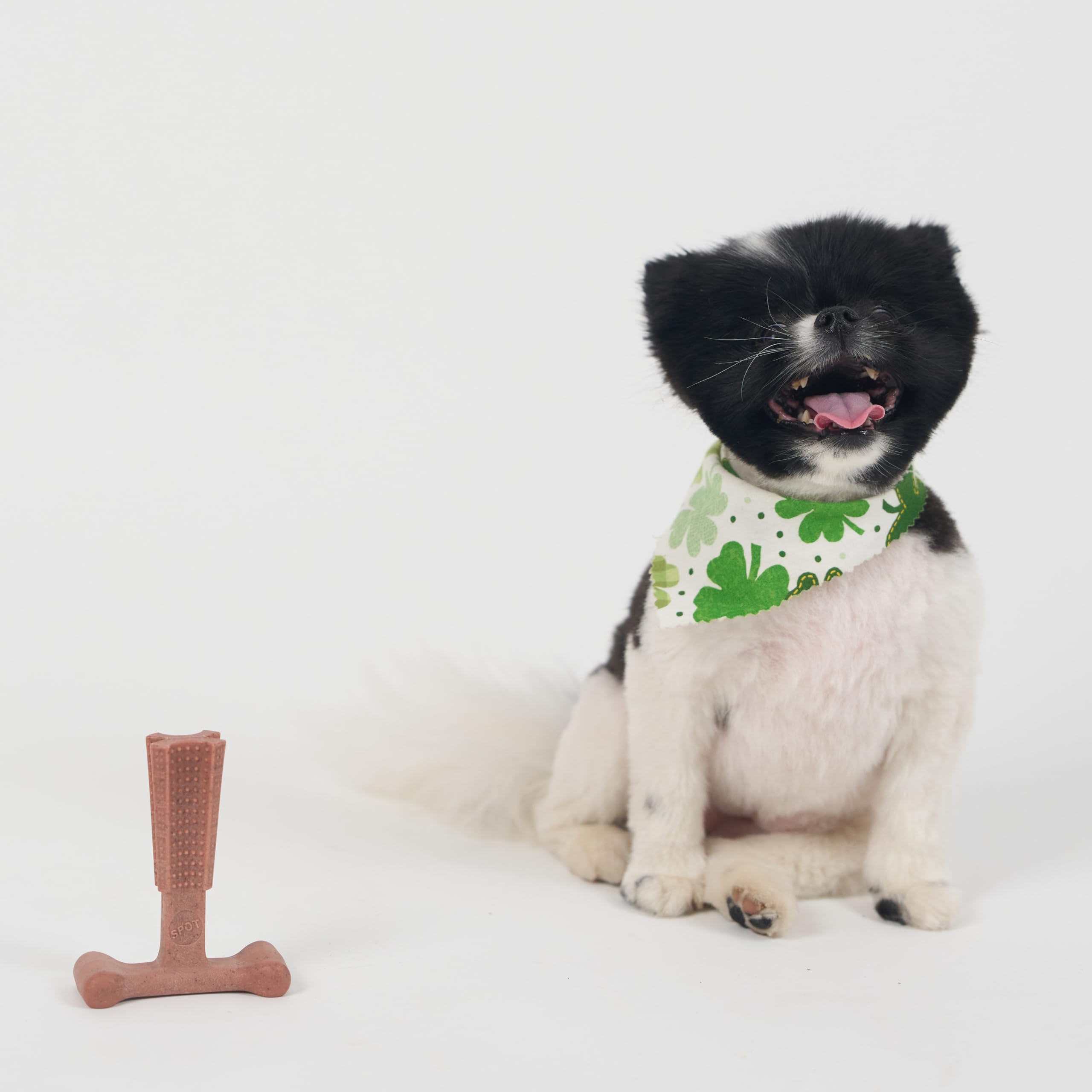 SPOT Bam-Bones Plus T Bone para uso diario y momentos de relajación