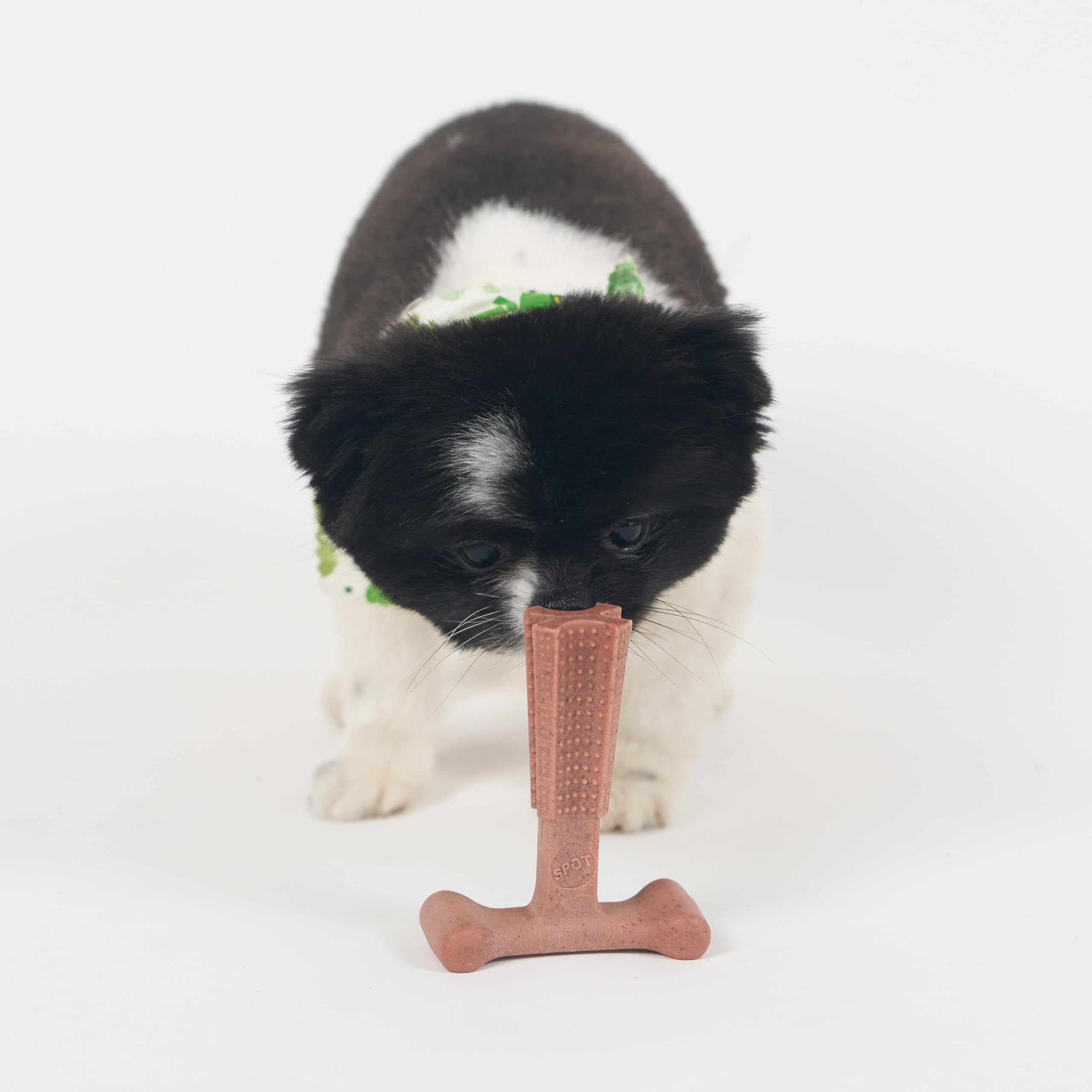 SPOT Bam-Bones Plus T Bone tamaño de cuatro pulgadas ideal para perros pequeños