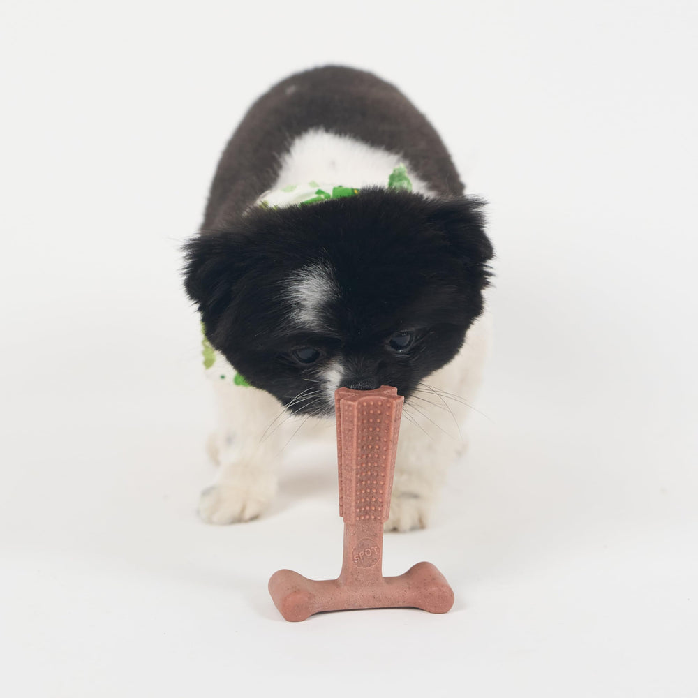 SPOT Bam-Bones Plus T Bone tamaño de cuatro pulgadas ideal para perros pequeños
