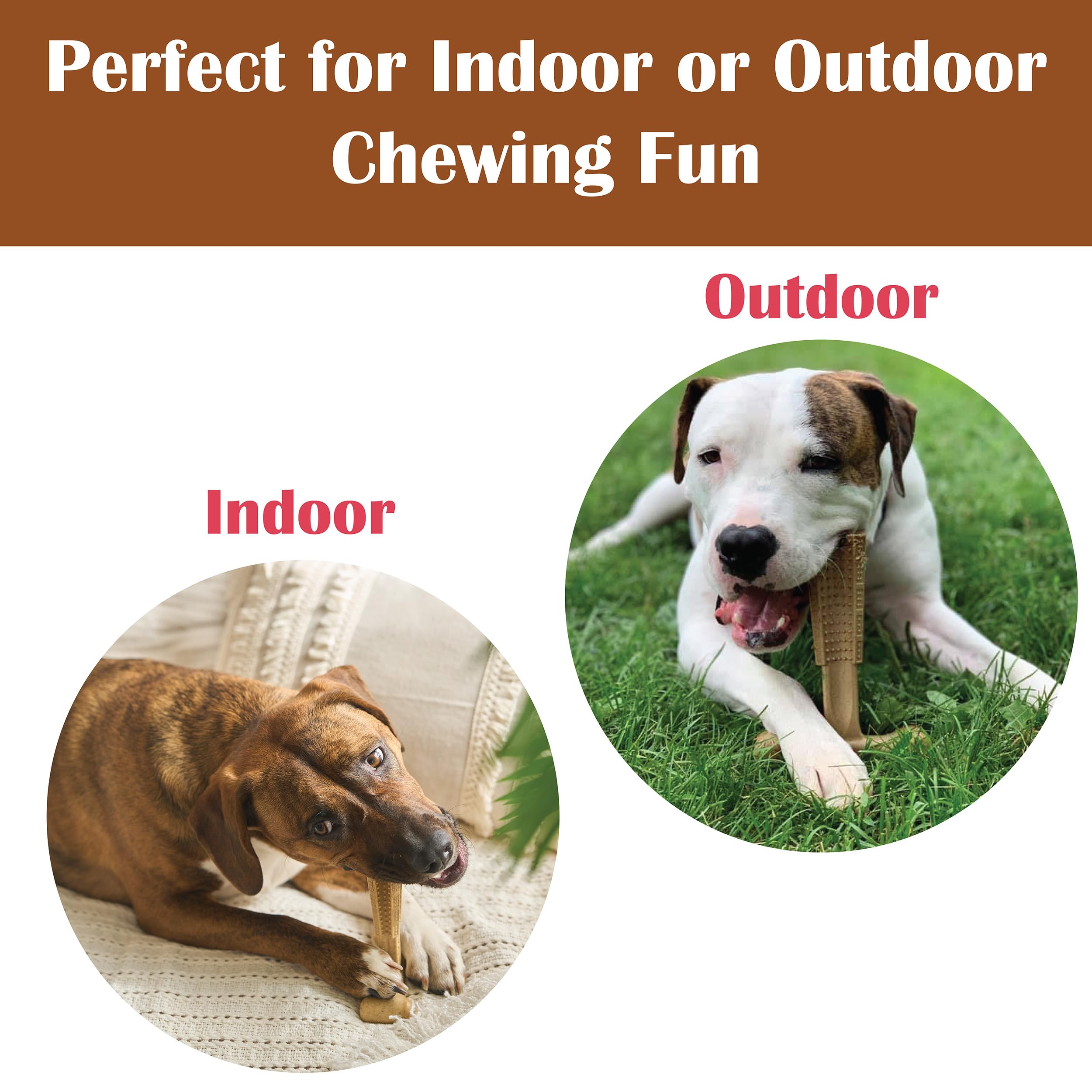 SPOT Bam-Bones Plus T-Bone, adecuado para uso en interiores y exteriores.