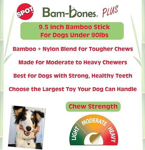 SPOT Bam-Bones Plus varita bambú texturas dentales para una limpieza suave