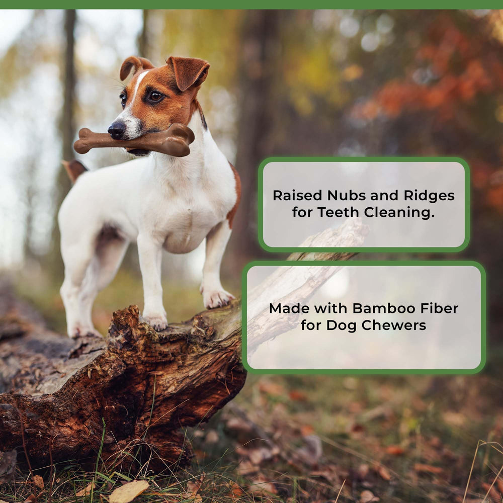 SPOT Bam-Bones tamaño medio ideal para perros pequeños y medianos