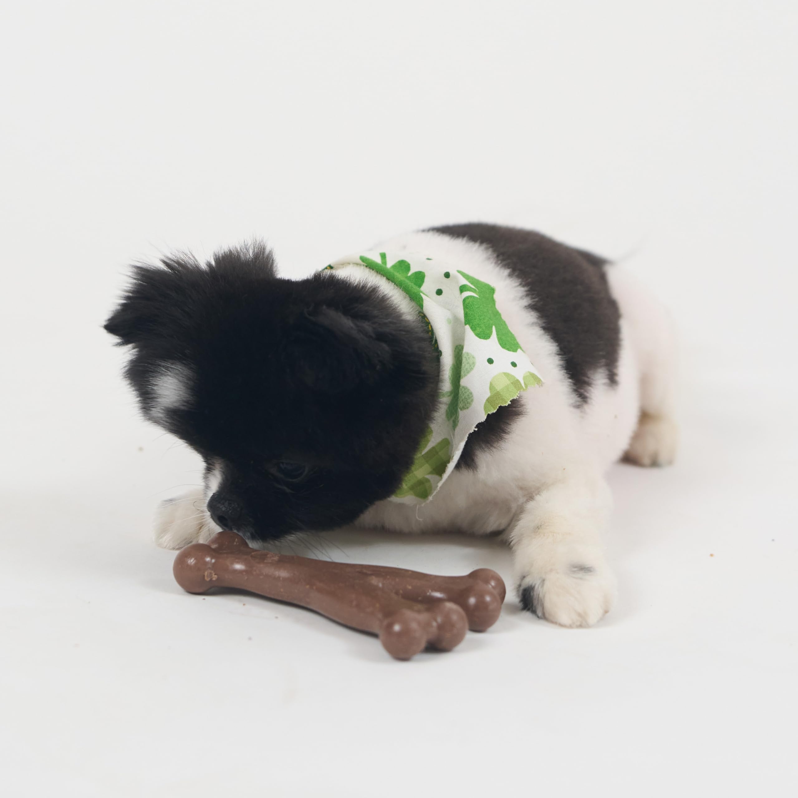 SPOT Bam-Bones Wishbone apoya la dentición de cachorros con juego seguro.