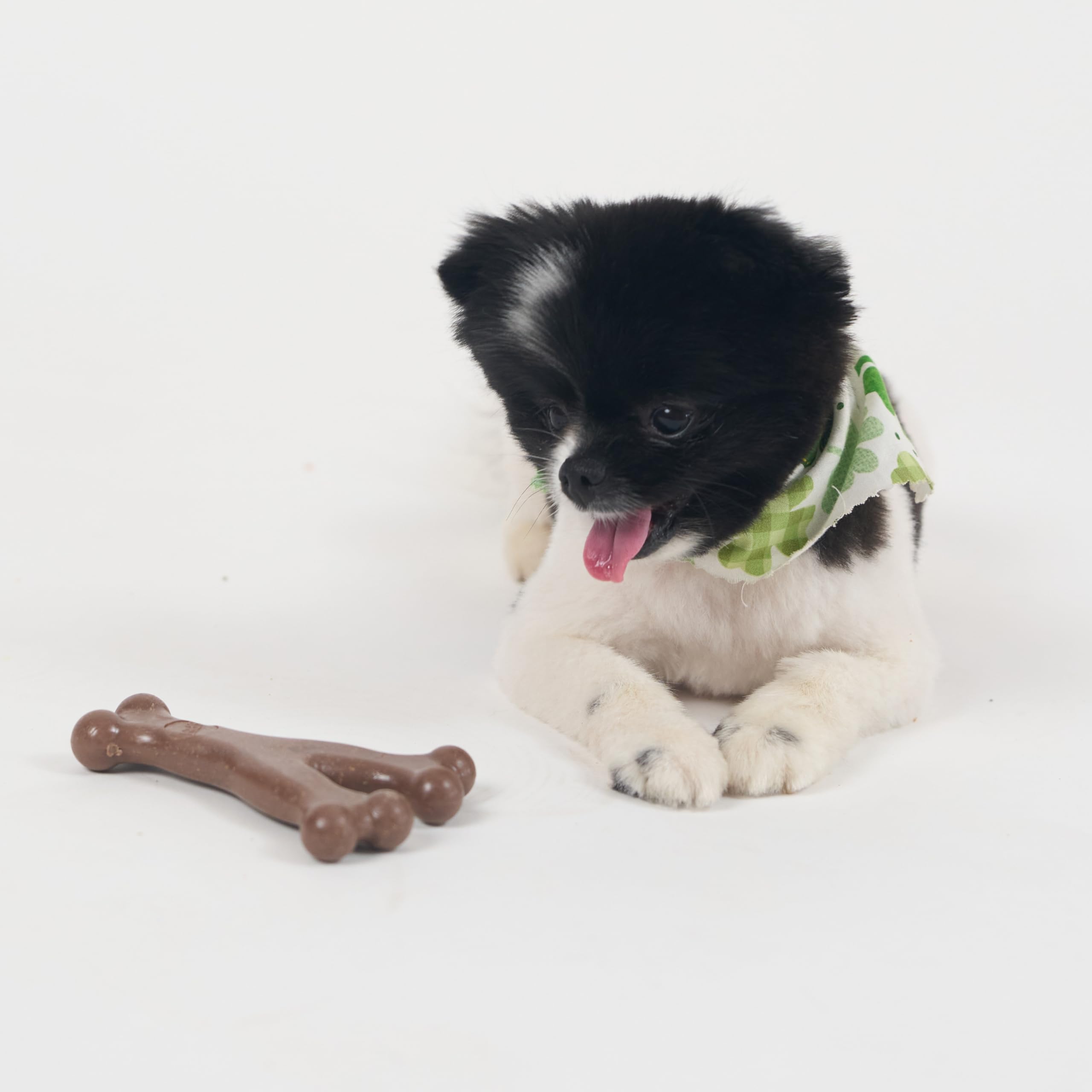 SPOT Bam-Bones Wishbone de alta durabilidad gracias a la mezcla de bambú.