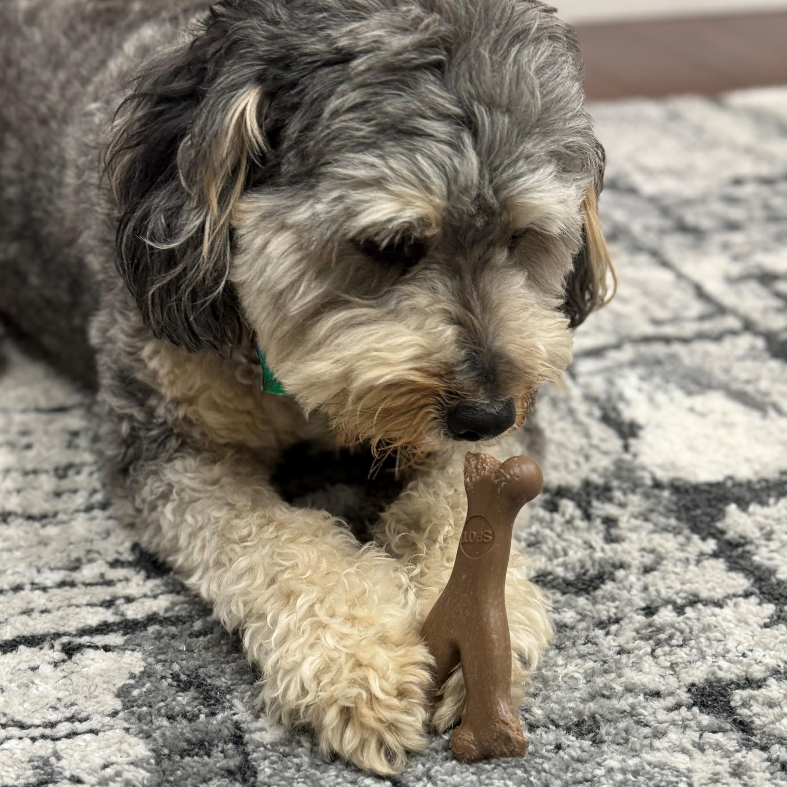 SPOT Bam-Bones Wishbone ideal para perros pequeños y cachorros.
