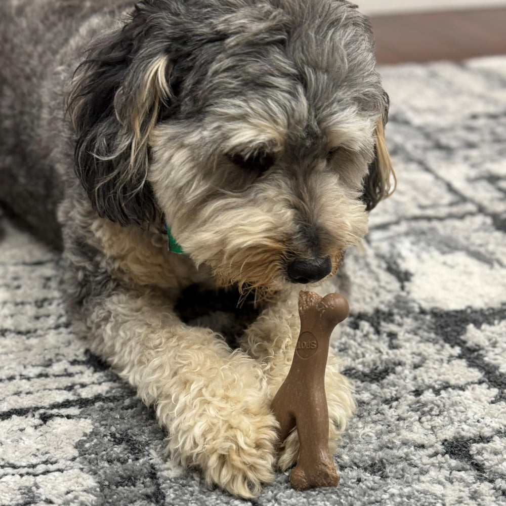 SPOT Bam-Bones Wishbone ideal para perros pequeños y cachorros.