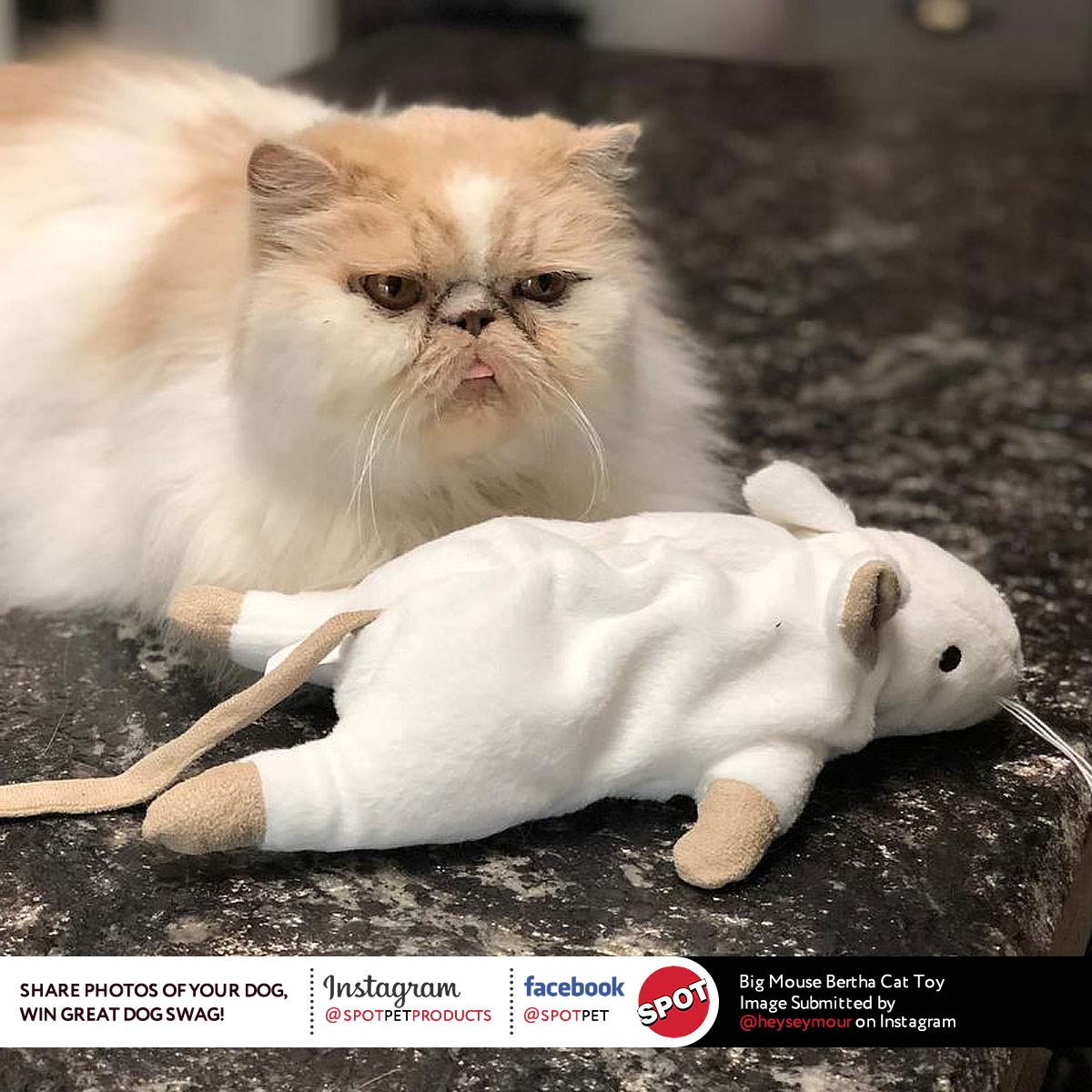 SPOT Big Mouse Bertha uso diario para gatos de todas las edades