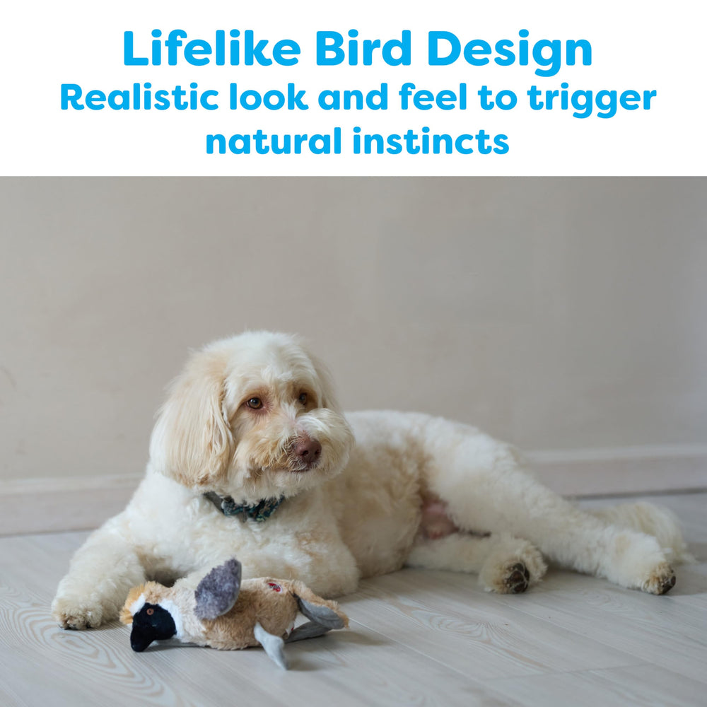 SPOT Bird Calls sonido de pájaro integrado, añade emoción al juego