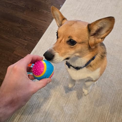 SPOT Bola Sensorial para juego de lanzamiento, ideal para fetch y ejercicio