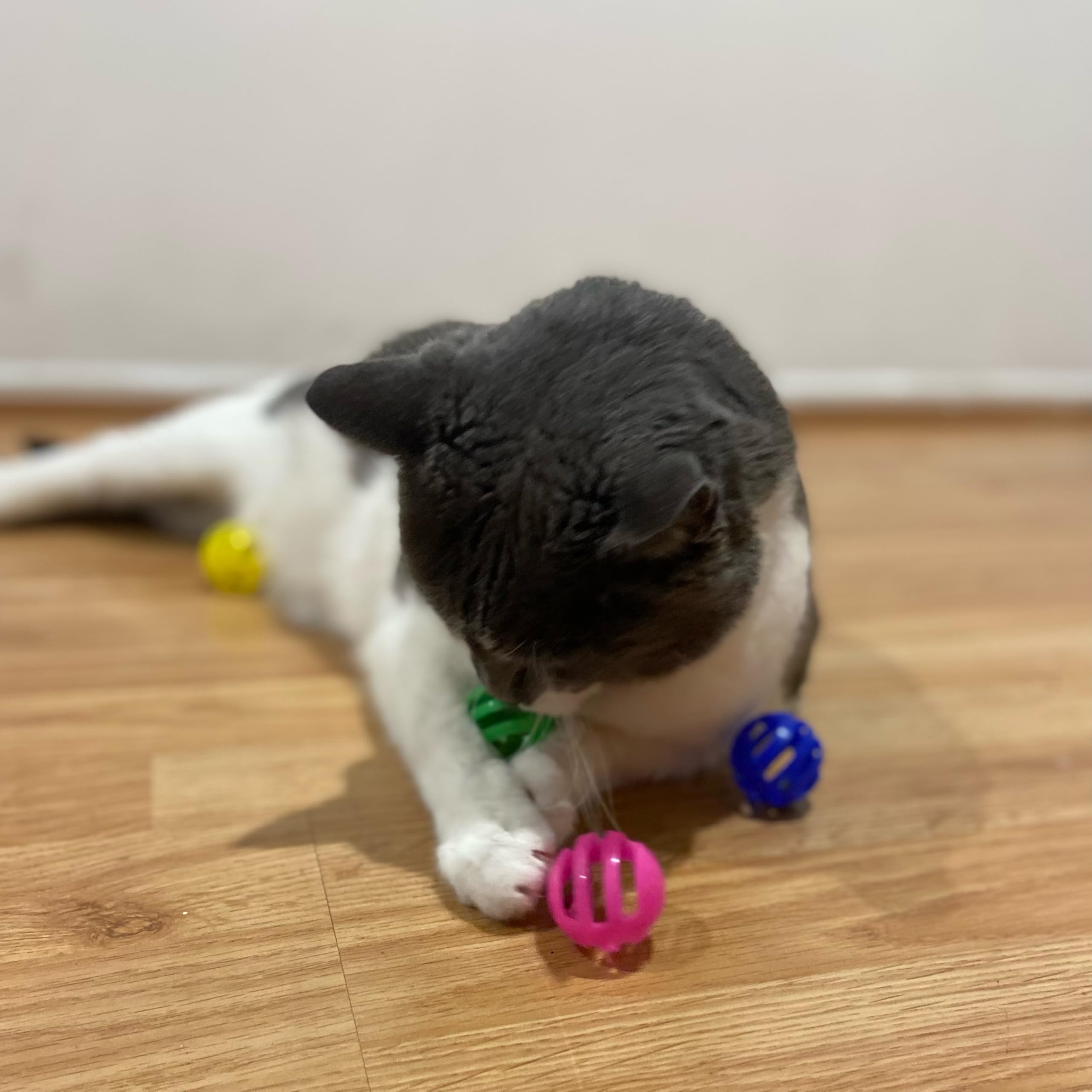 Bolas SPOT seguras y no tóxicas para gatos curiosos