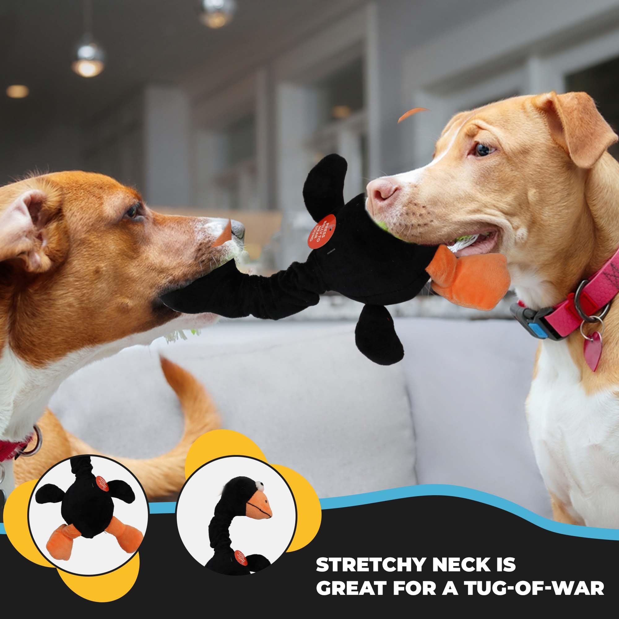 SPOT Chirpies mide 14 pulgadas, tamaño versátil para perros pequeños y medianos