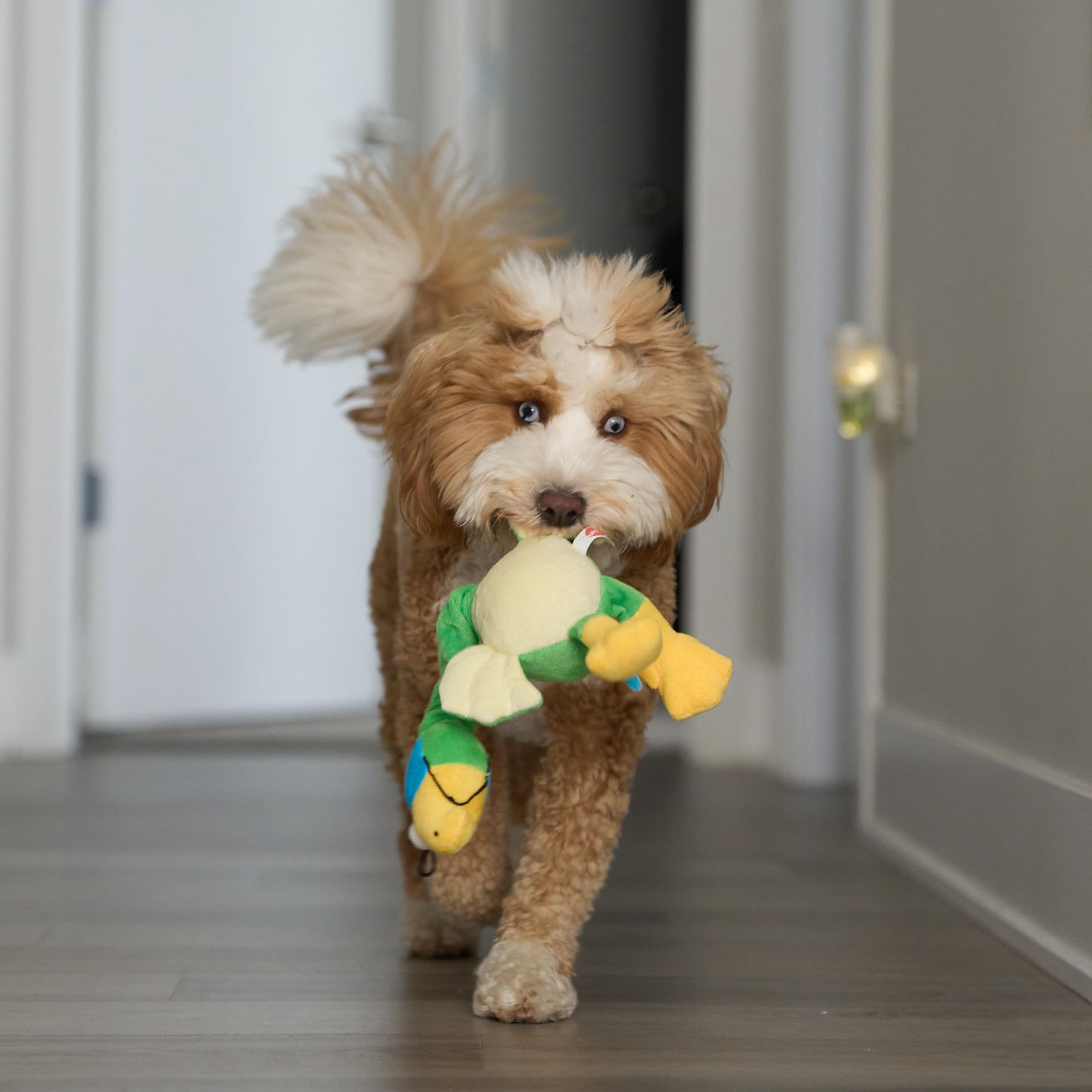 SPOT Chirpies ideal para juegos de tira y búsqueda entre amigos