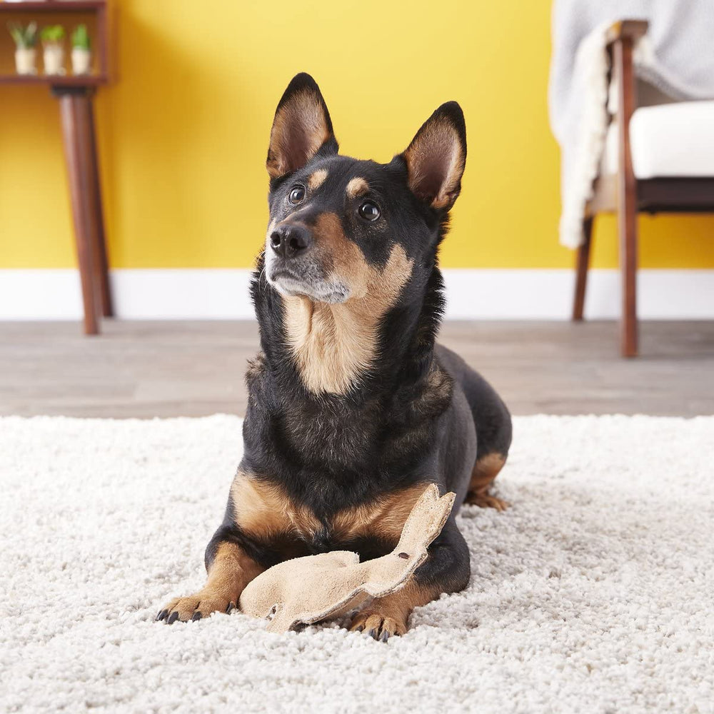 SPOT conejo con pito integrado, mantiene a tu perro atento.