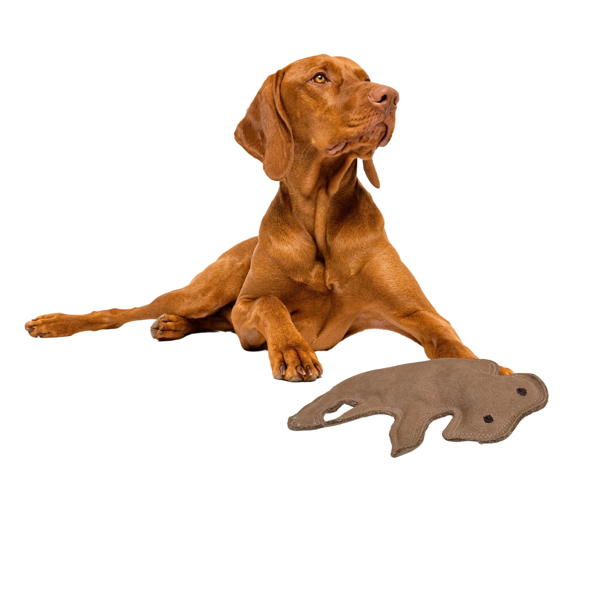 SPOT Dura-Fused Buffalo, juguete de cuero real para mordidas moderadas y juego duradero.