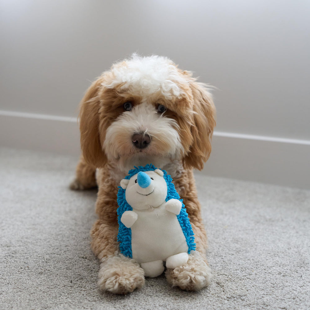 SPOT erizo peluche para mimos y descanso