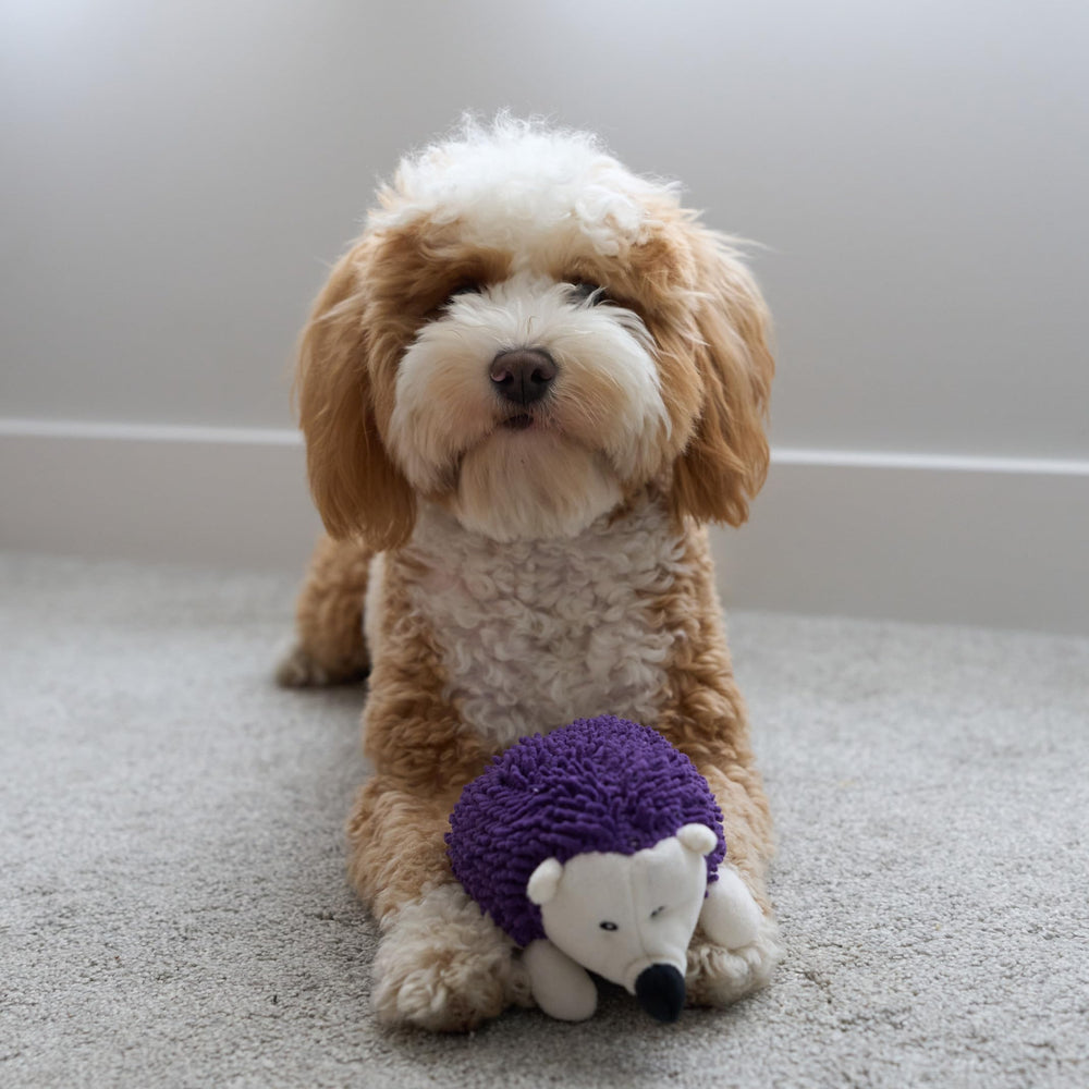 Perro jugando con SPOT erizo peluche