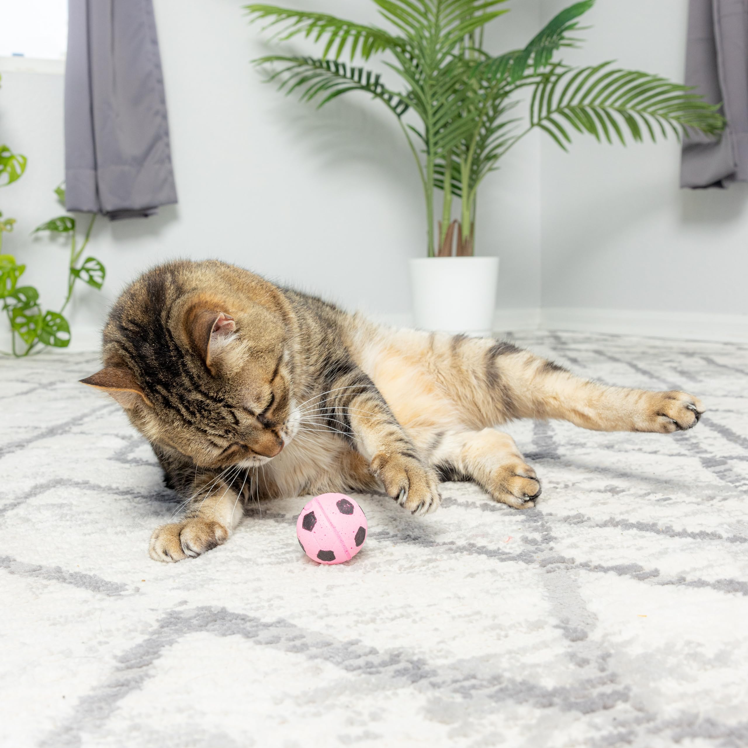 SPOT esponja bola-fútbol celeste para gatos, gran compañero de juego activo