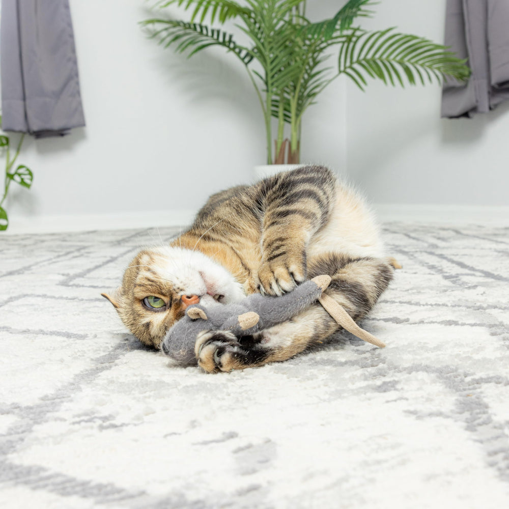 SPOT Frankie: juguete de peluche suave para gatos