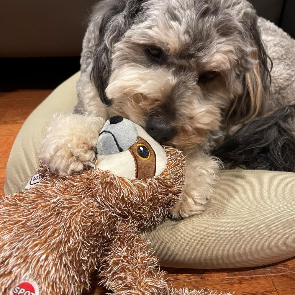 SPOT Fun Sloth para juego independiente y entretenimiento diario.
