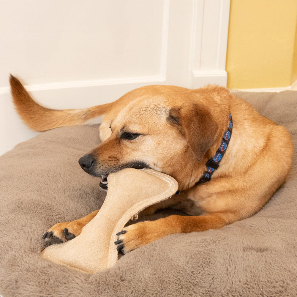 SPOT Hueso suave con relleno y sonoro incorporado.