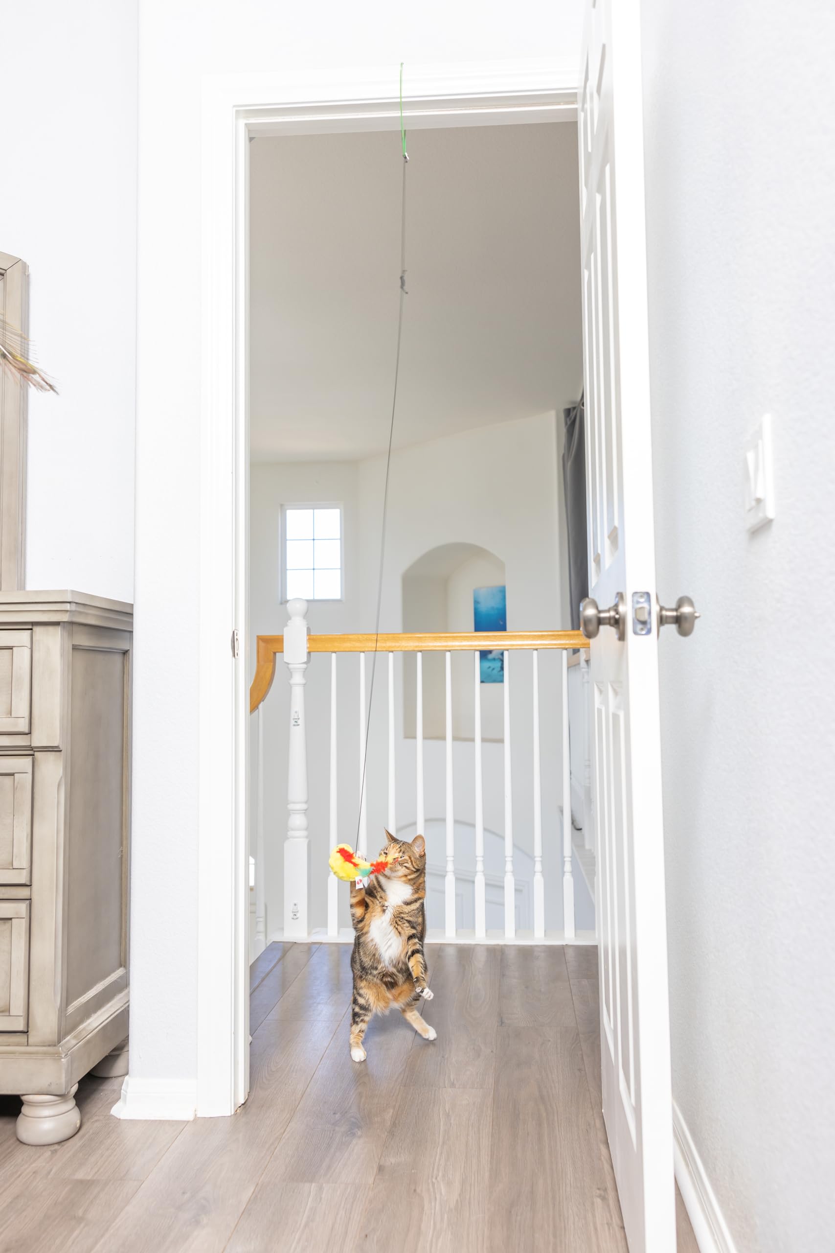 Spot Juego interactivo para gatos: estímulo mental y actividad física suave