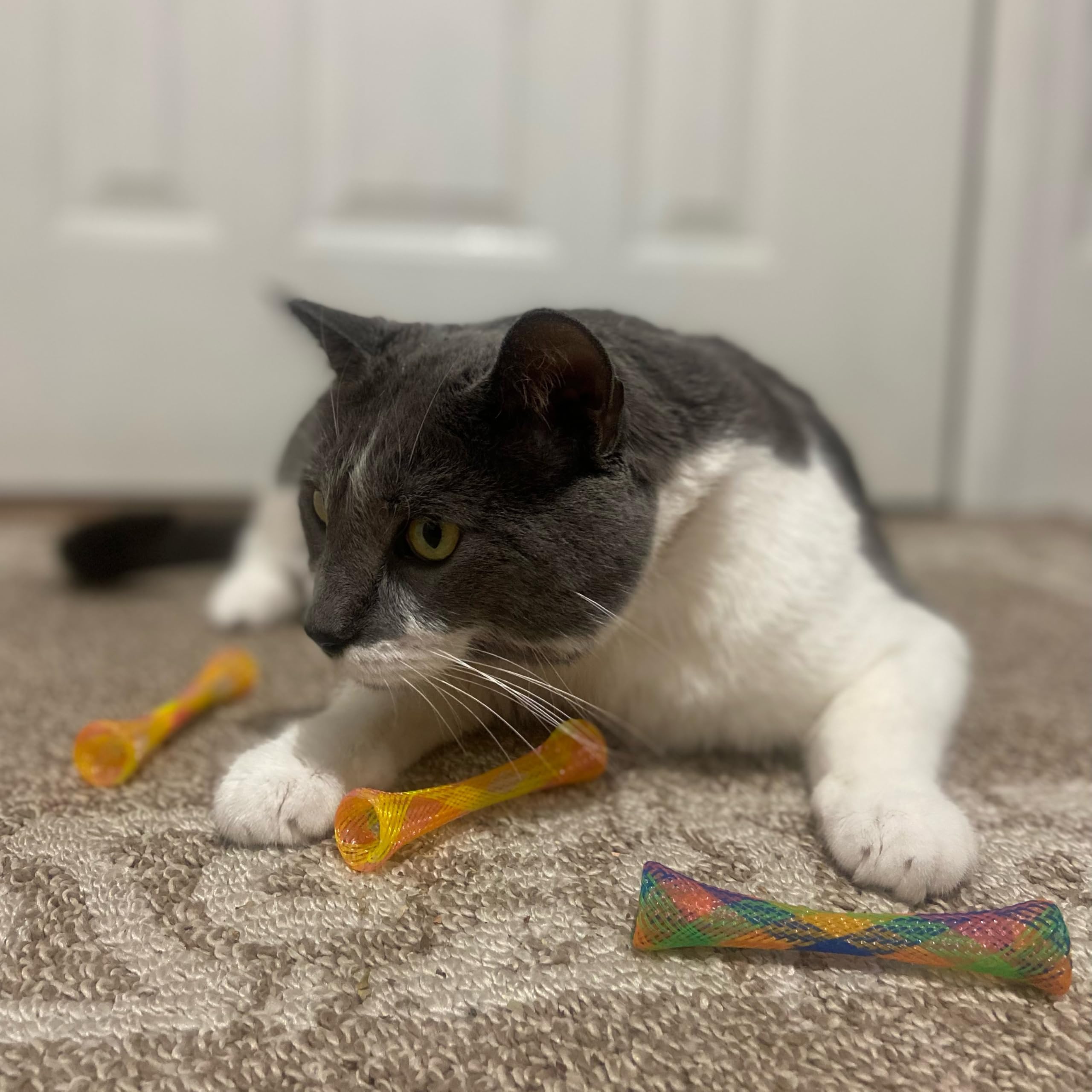 SPOT Kitty Fun Tubes: diseño ligero y portátil para juego en casa.