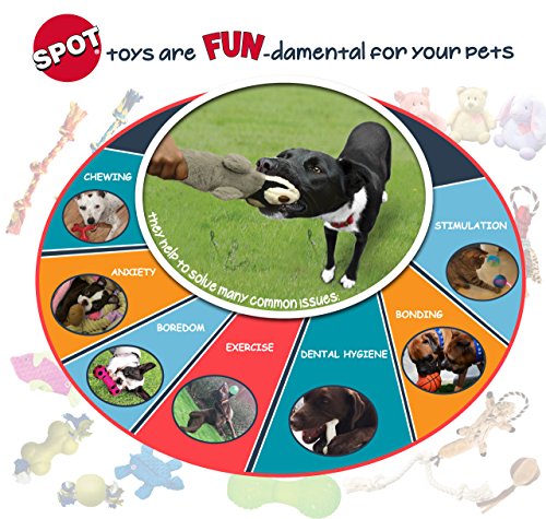 SPOT Pelota Sensorial para morder y jugar, combina sonido y sabor para más diversión.