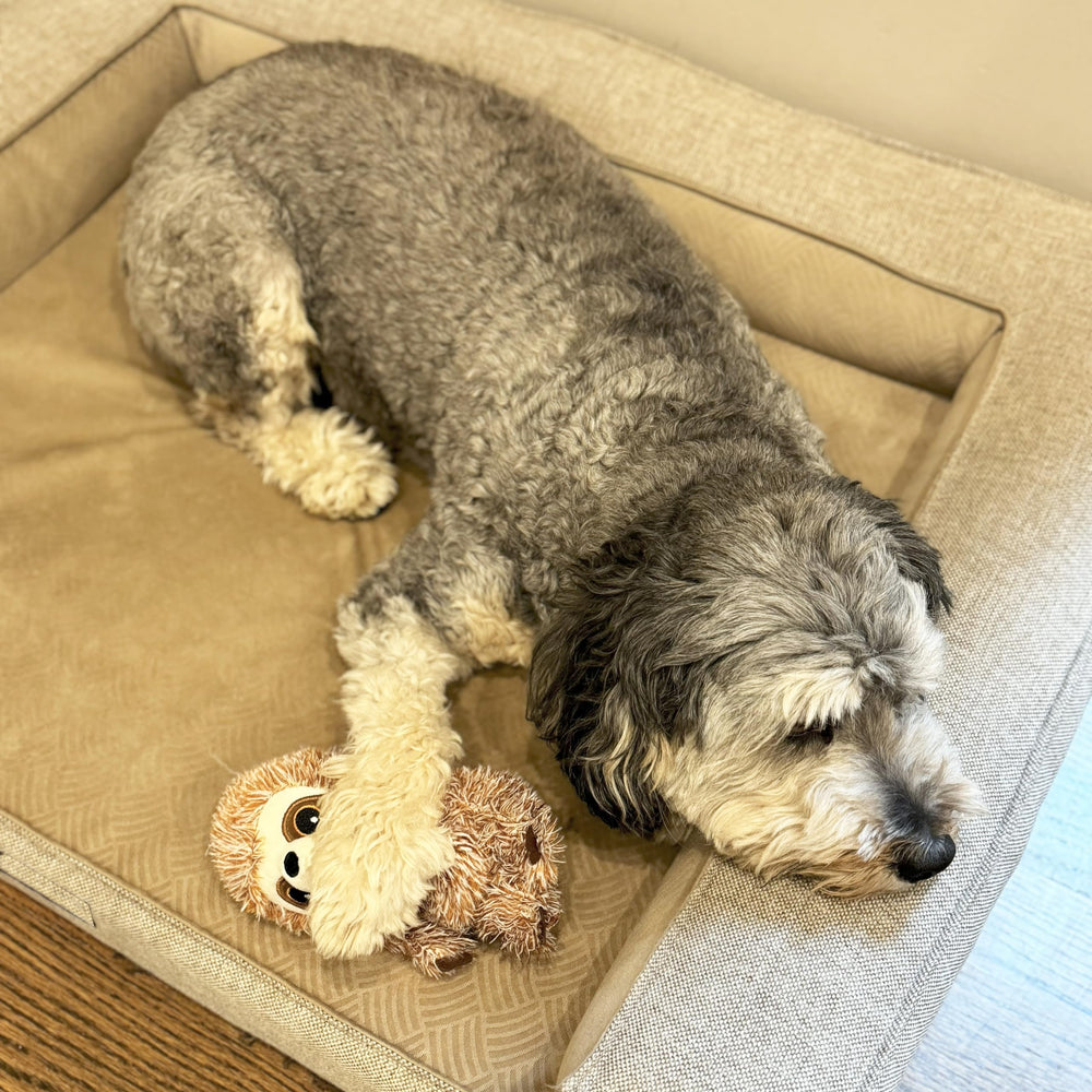 SPOT Perezoso Divertido, juego-interactivo-perro, ideal para jugar en casa.