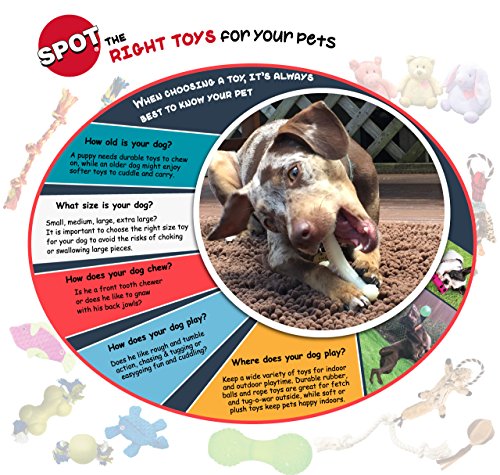 SPOT Play Strong Diversión para Perros Grandes; uso diario recomendado.
