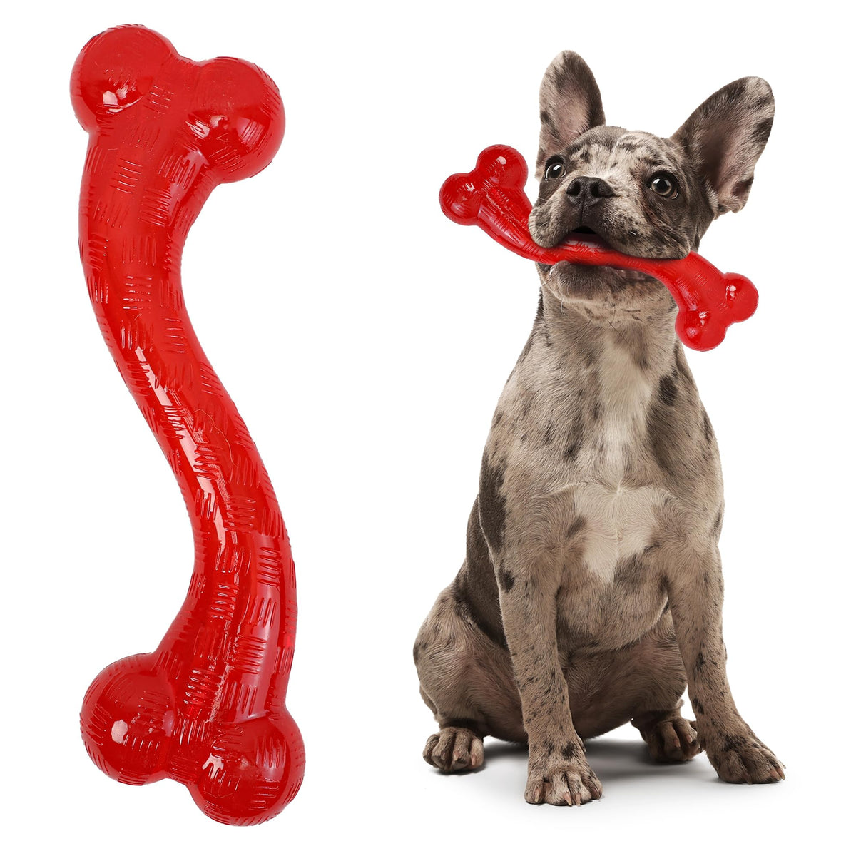 SPOT Play Strong Hueso S Bone Interactivo para juego prolongado y masticación segura.