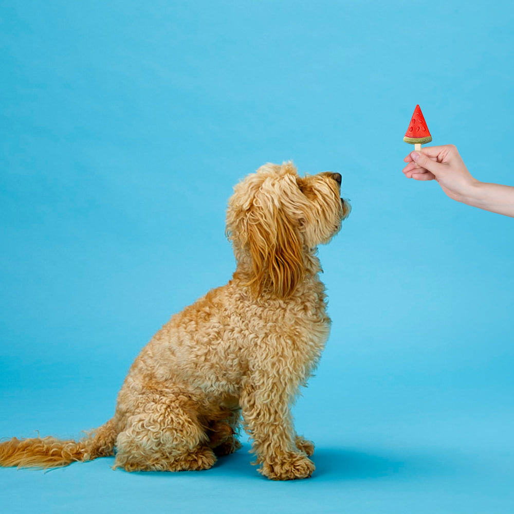 SPOT Pup Ice entretenimiento para cachorros durante el juego