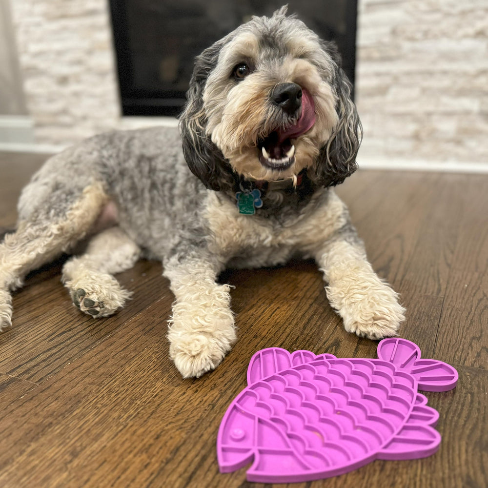 SPOT Soother Lick Mat, diseño pez para lamido calmante