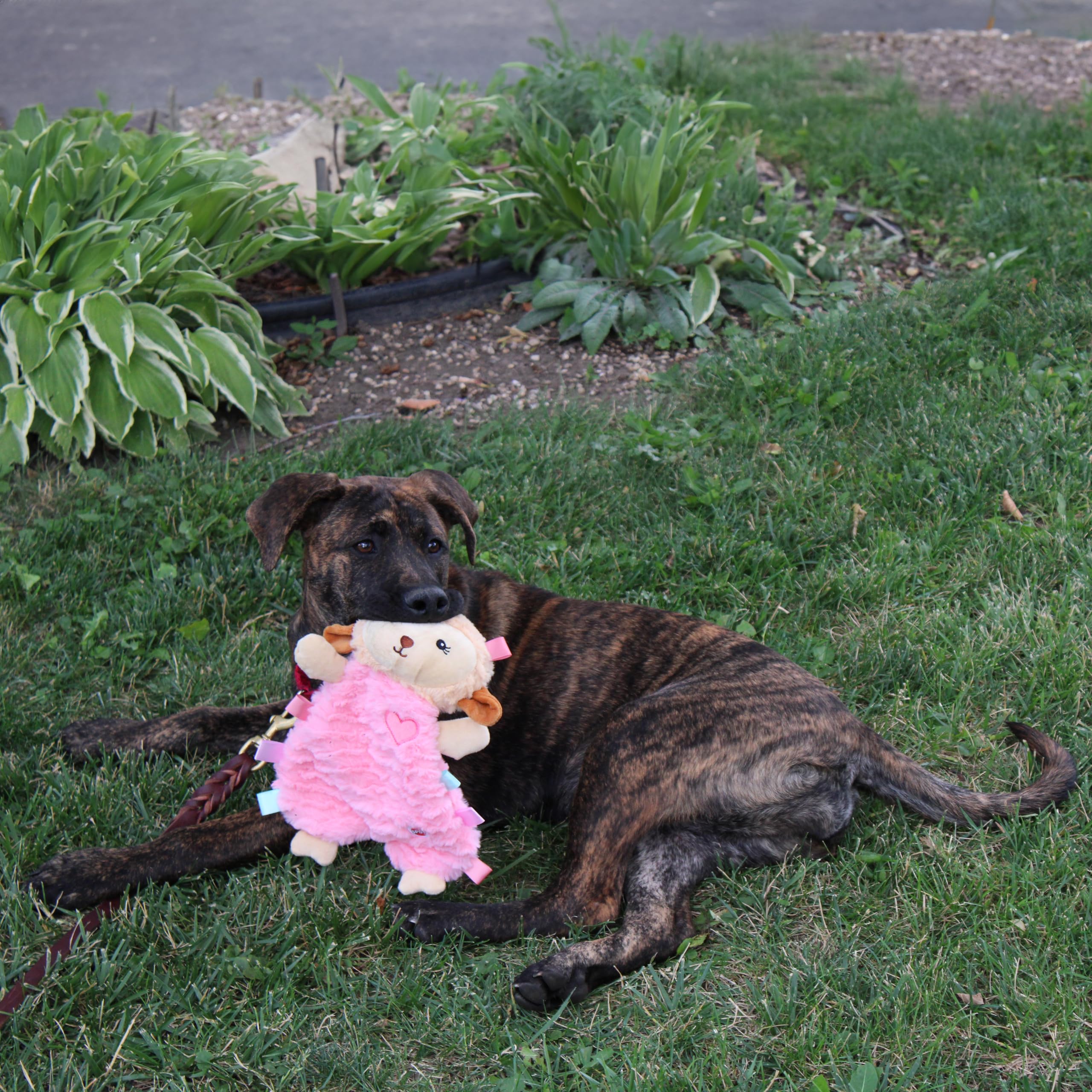 SPOT Soothers Tabbie Lambie, chirriador oculto para más interacción durante el juego.