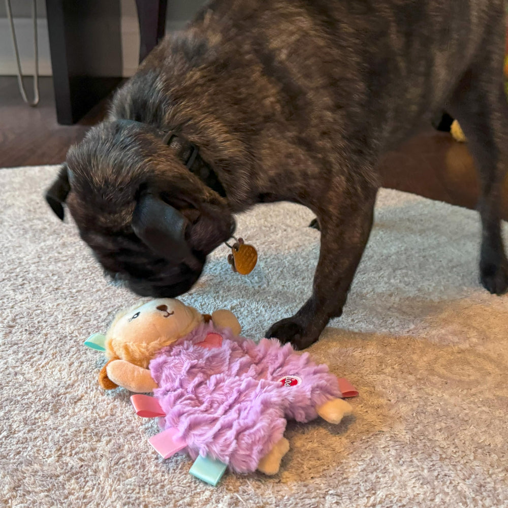 SPOT Soothers Tabbie Lambie, diseñado-para-perros-pequenos, tamaño cómodo para razas pequeñas