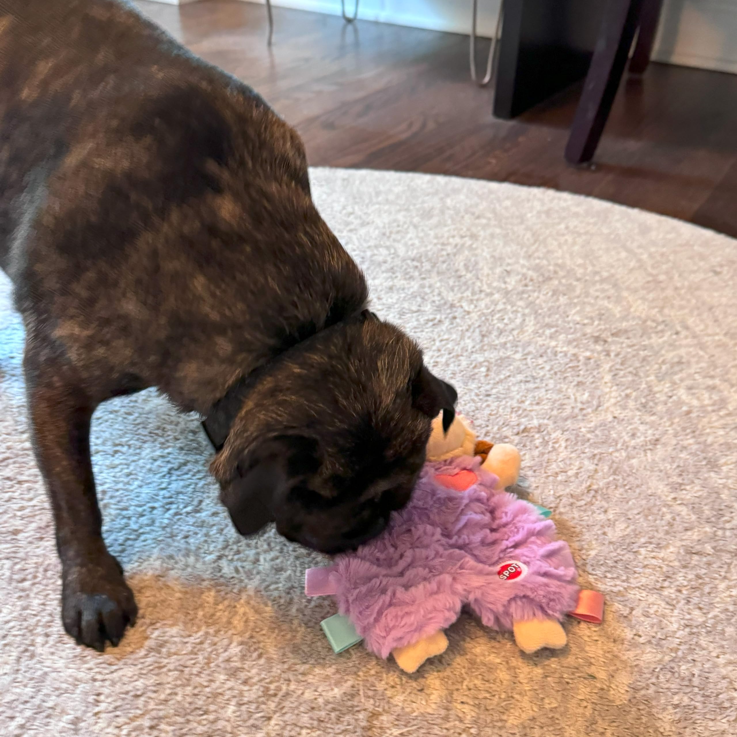 SPOT Soothers Tabbie Lambie, tamaño de 12 pulgadas para perros pequeños.