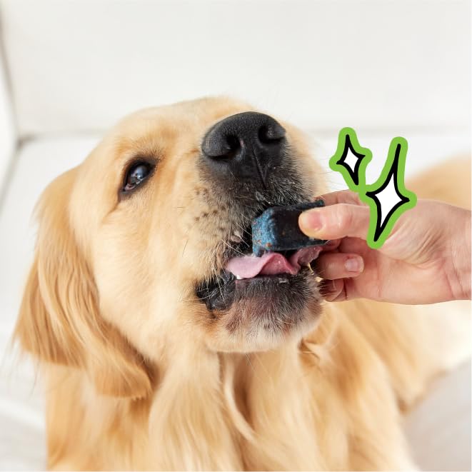 Spot & Tango PupGum, diseñado para el cuidado dental diario de perros grandes.
